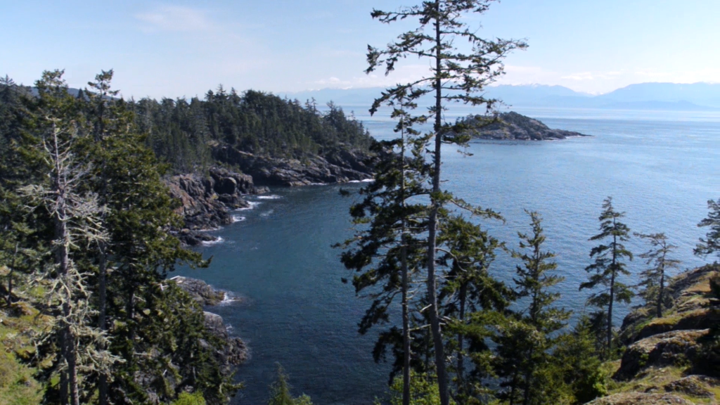 Sooke Point Real Estate Commercial Gabriel Colome